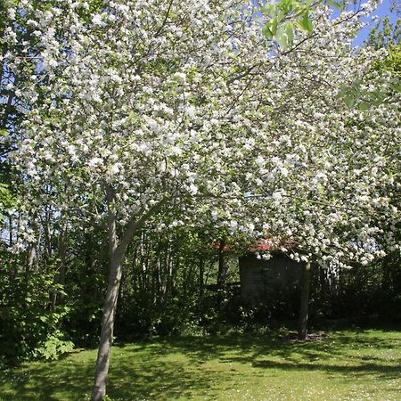 Countryside Eco Natuurhuisjes Ee Екстериор снимка