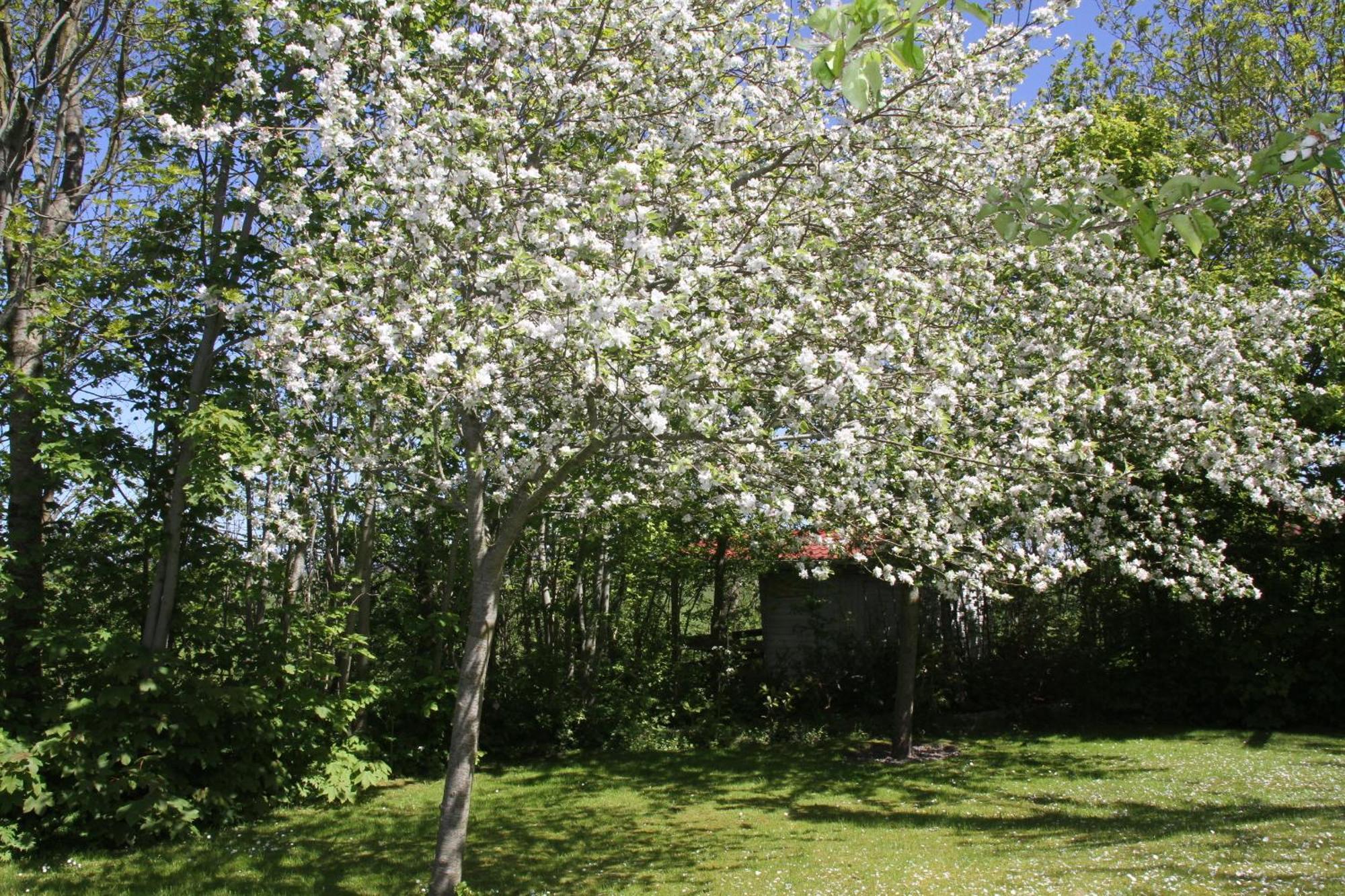 Countryside Eco Natuurhuisjes Ee Екстериор снимка