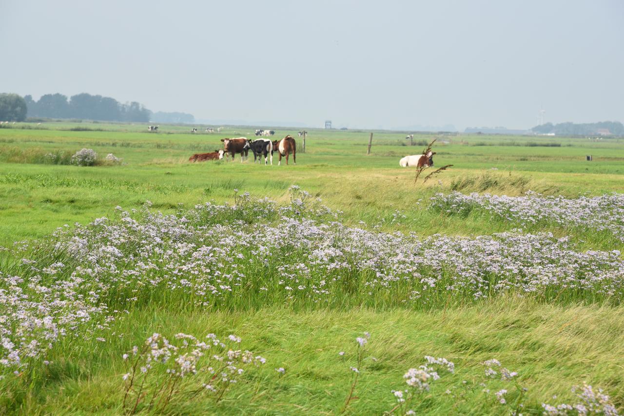 Countryside Eco Natuurhuisjes Ee Екстериор снимка