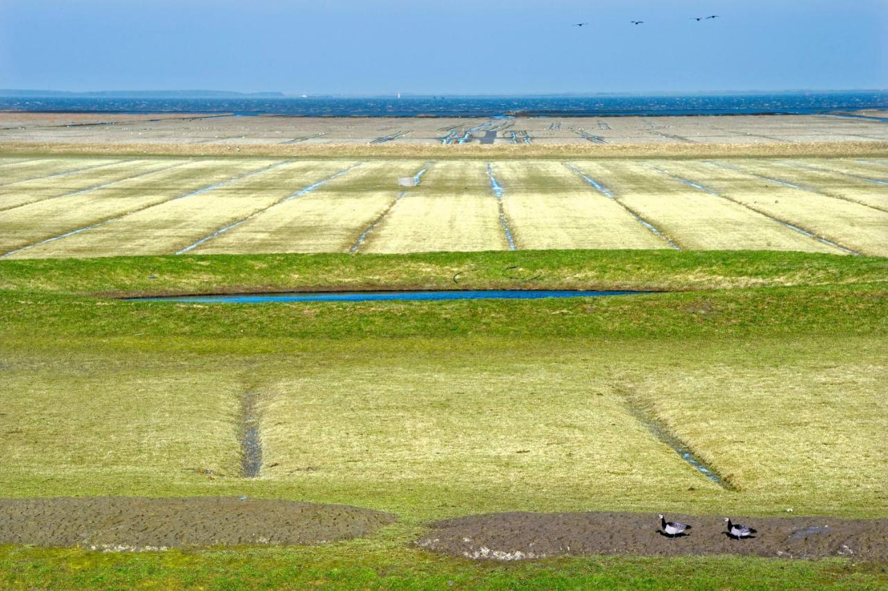 Countryside Eco Natuurhuisjes Ee Екстериор снимка