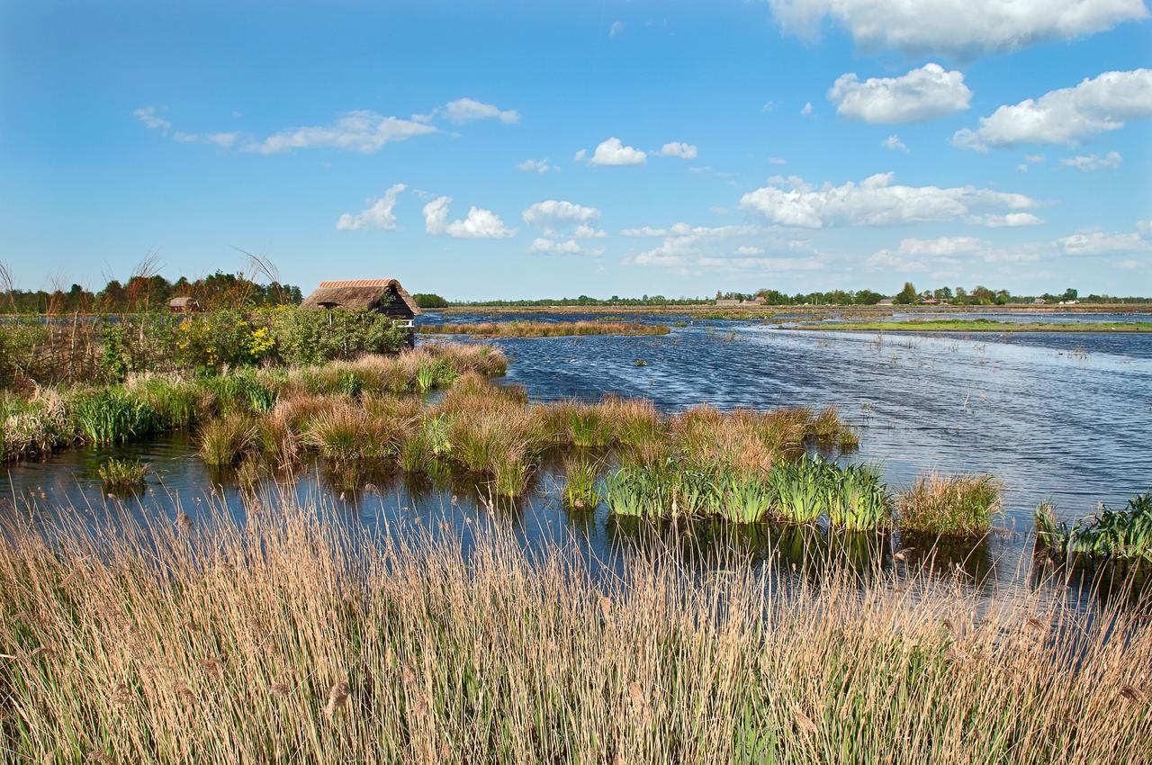 Countryside Eco Natuurhuisjes Ee Екстериор снимка