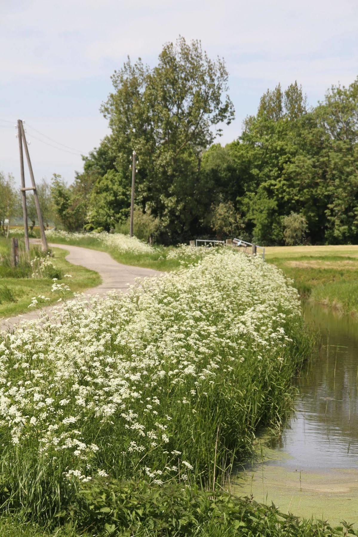 Countryside Eco Natuurhuisjes Ee Екстериор снимка