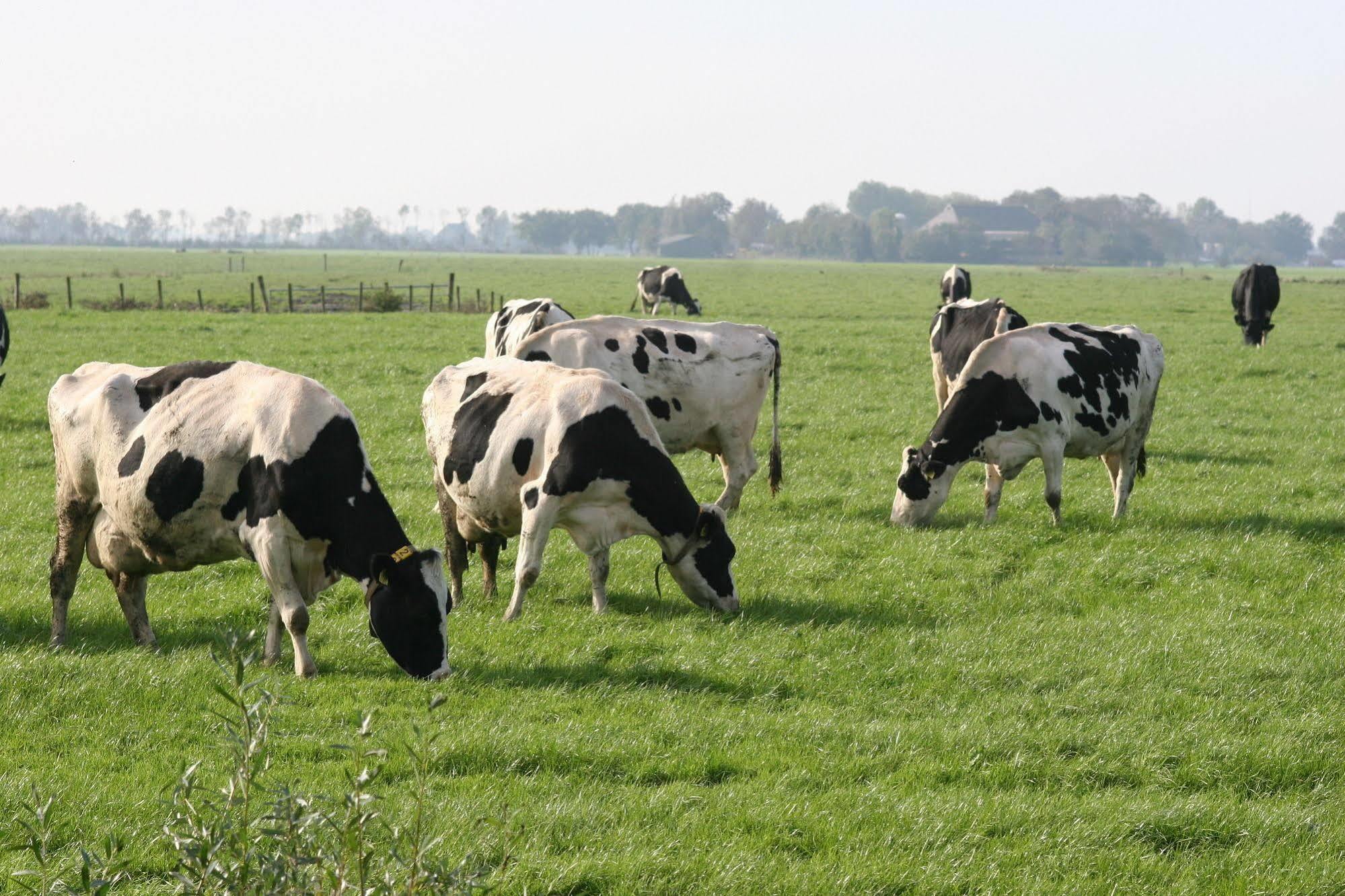 Countryside Eco Natuurhuisjes Ee Екстериор снимка