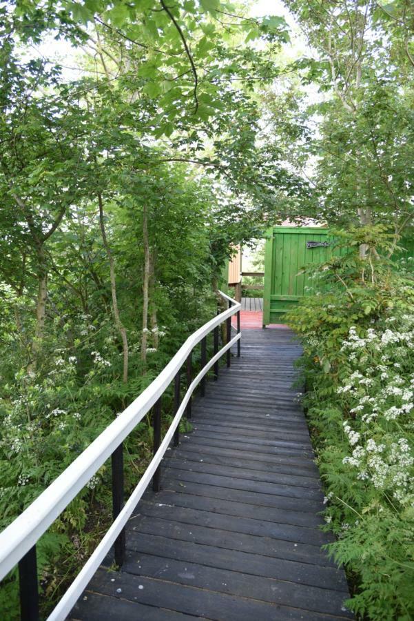Countryside Eco Natuurhuisjes Ee Екстериор снимка